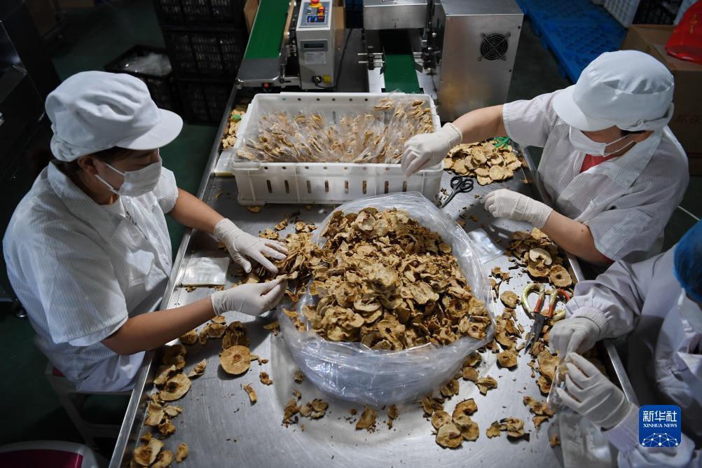各大赌场网址
